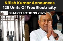 Bihar elections 2025 promises