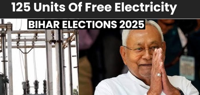 Bihar elections 2025 promises